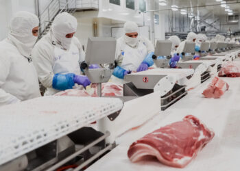 Eliminación de aranceles no tendrá impacto en cárnicos: Anetif