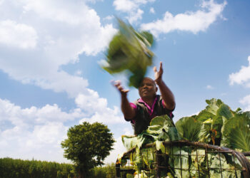 FIRA coloca el primer bono social de inclusión financiera en México