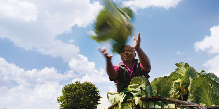 FIRA coloca el primer bono social de inclusión financiera en México