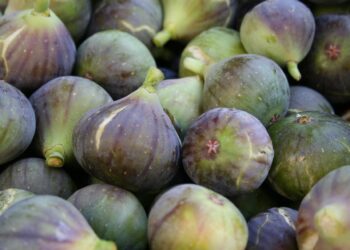 Madera más cara afecta a productores de higo y hortalizas