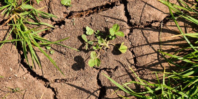 Una producción sostenible e incluyente, clave contra el cambio climático