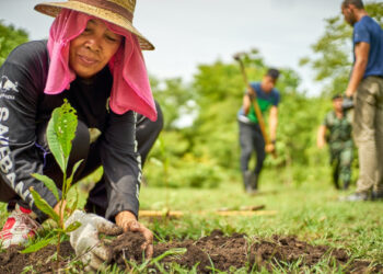 A tres años de operación, persisten fallas en Sembrando Vida