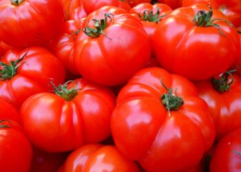 Consumir más tomates y pimientos puede mejorar la salud de las mujeres