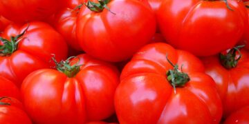 Consumir más tomates y pimientos puede mejorar la salud de las mujeres