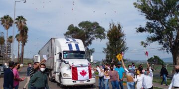 Empresa guanajuatense podrá exportar carne de cerdo procesada a Canadá