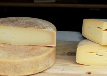 En 2022 se comercializarán 88 millones de toneladas de lácteos en todo el mundo