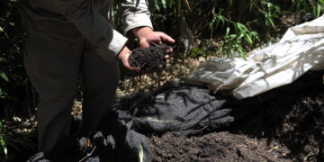 Investigadores del INTA construyen biofábrica de insumos orgánicos