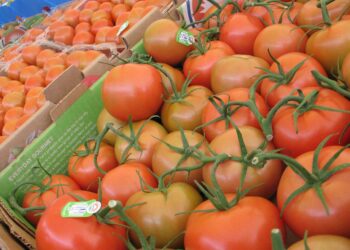 México y EEUU anuncian avances en materia de inocuidad