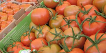 México y EEUU anuncian avances en materia de inocuidad