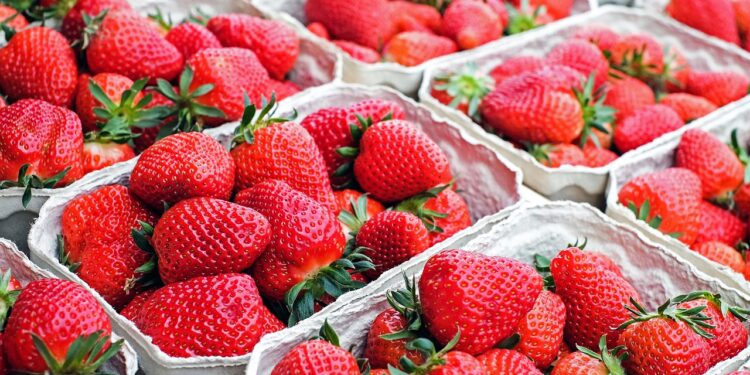 Organic Grower Summit 2022 anuncia sus primeras sesiones educativas