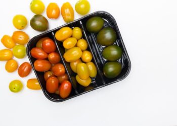 Polímeros biológicos incorporan compuestos bioactivos de guayabo del Brasil