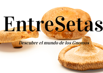 Productora de setas recibe premio europeo a la mejor agricultora sostenible