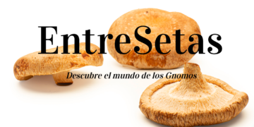 Productora de setas recibe premio europeo a la mejor agricultora sostenible