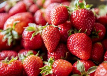 Residuos de fresa son materia prima para biogás