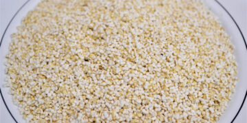 Amaranto es considerado el mejor alimento de origen vegetal para consumo humano