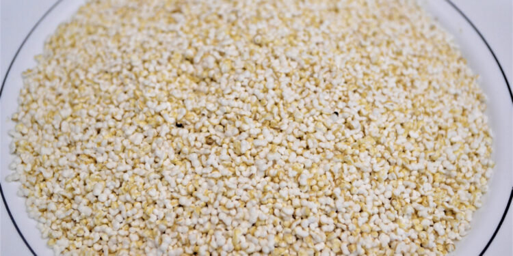 Amaranto es considerado el mejor alimento de origen vegetal para consumo humano