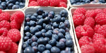 Aumenta 8.78% la exportación de berries mexicanas