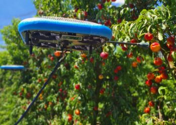 Robots voladores que cosechan frutas