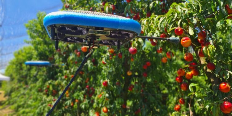 Robots voladores que cosechan frutas