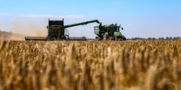 Suben precios del trigo por suspensión de Rusia