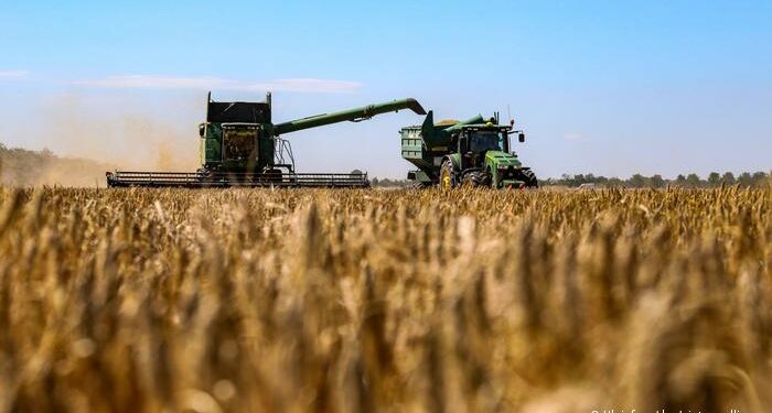 Suben precios del trigo por suspensión de Rusia