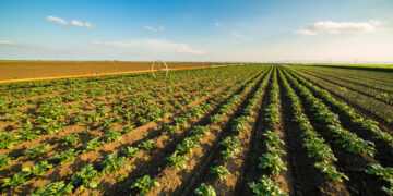 3 claves para un mejor flujo de efectivo en los agronegocios