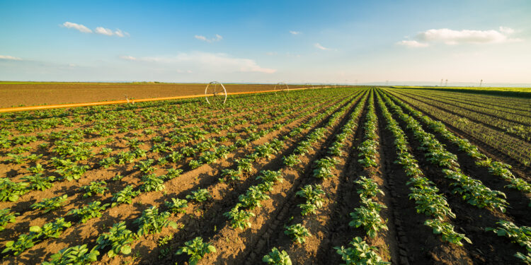 3 claves para un mejor flujo de efectivo en los agronegocios