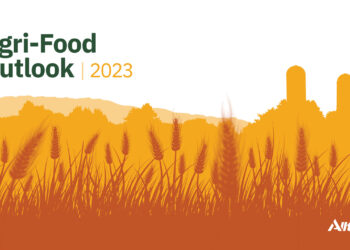 Alltech presenta las tendencias en la producción de alimento balanceado