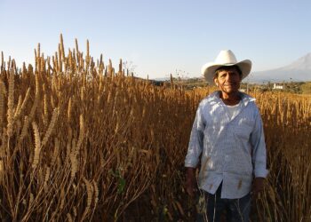 Campo Vivo celebra 15 de años con el reto de impulsar al campo