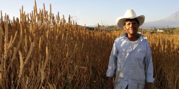 Campo Vivo celebra 15 de años con el reto de impulsar al campo