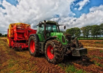 La agricultura a gran escala amenaza la biodiversidad: ¿qué alternativas hay?