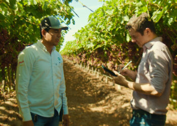 ProducePay abre su marketplace al comercio nacional