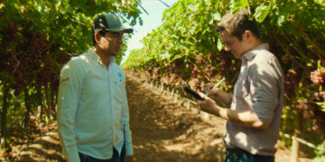 ProducePay abre su marketplace al comercio nacional