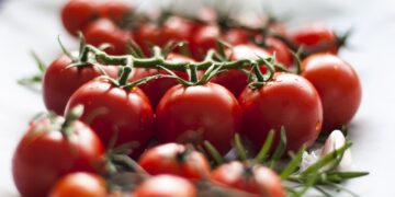 El USDA busca fortalecer la legislación en materia orgánica