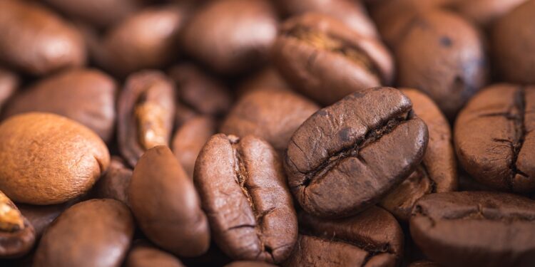 Reconocen calidad del café orgánico de Veracruz