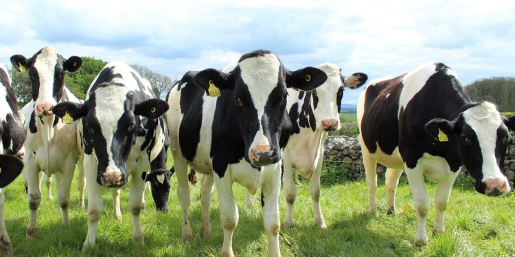 Garantizan disponibilidad de biológicos para enfermedades pecuarias