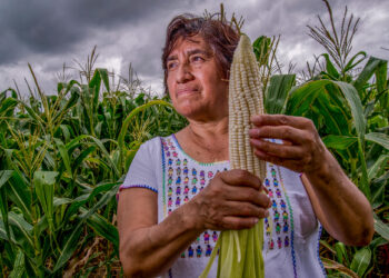 Mujeres en el campo contribuyen a la seguridad alimentaria