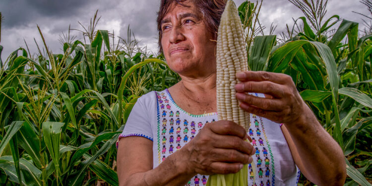 Mujeres en el campo contribuyen a la seguridad alimentaria
