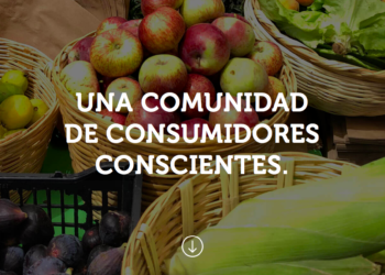 Tianguis alternativo recibe Certificación orgánica participativa