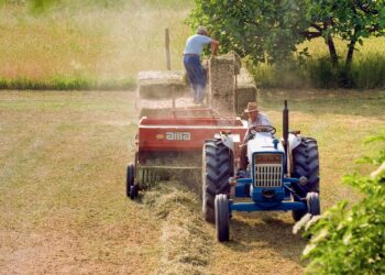Fintech urge a mirar nuevas opciones de financiamiento para el agro