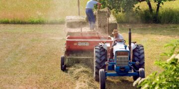 Fintech urge a mirar nuevas opciones de financiamiento para el agro