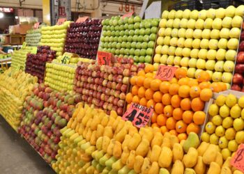 La Central de Abasto inicia programa piloto de inocuidad