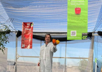 La importancia de visibilizar el trabajo detrás de las semilleras