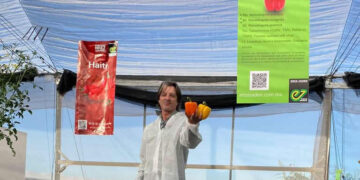 La importancia de visibilizar el trabajo detrás de las semilleras