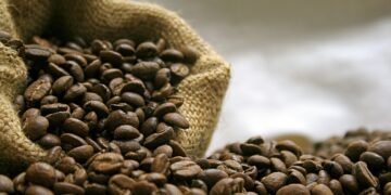La Unión Europea invierte en producción de café orgánico colombiano