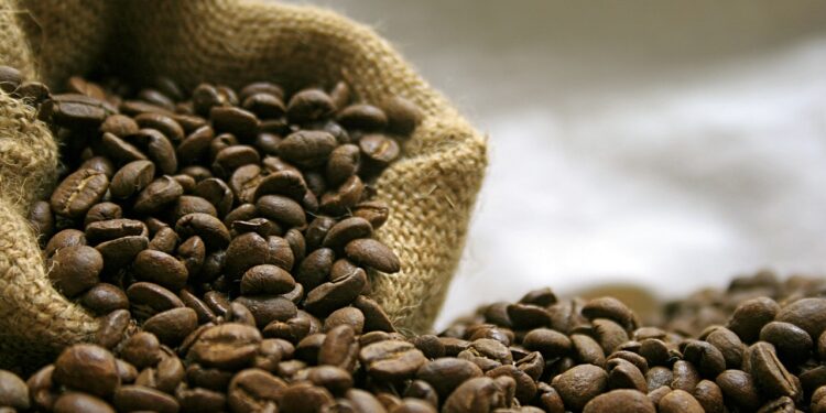 La Unión Europea invierte en producción de café orgánico colombiano