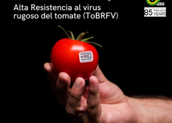 Enza Zaden ofrece 18 variedades con alta resistencia al virus rugoso del tomate