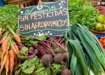 41% de los consumidores canadienses prefieren una integración entre orgánicos y convencionales