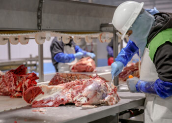 45 empresas mexicanas cuentan con certificación halal