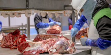 45 empresas mexicanas cuentan con certificación halal